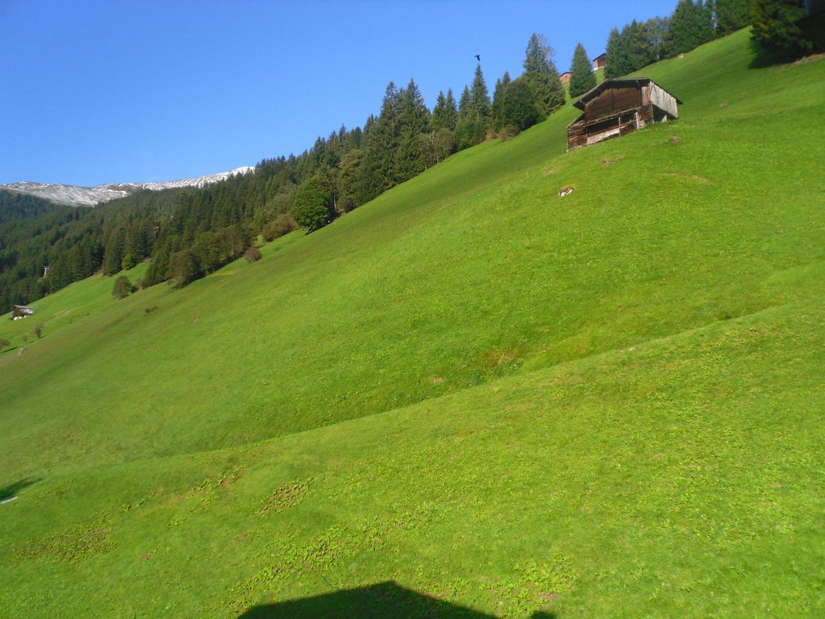 Grünwaldhof *